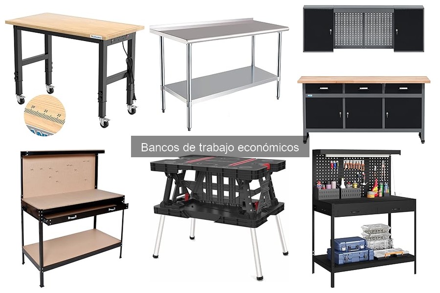 Testimonios de usuarios sobre bancos de trabajo económicos